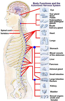 Subluxations