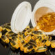 Fish Oil… the essential supplement with no substitute