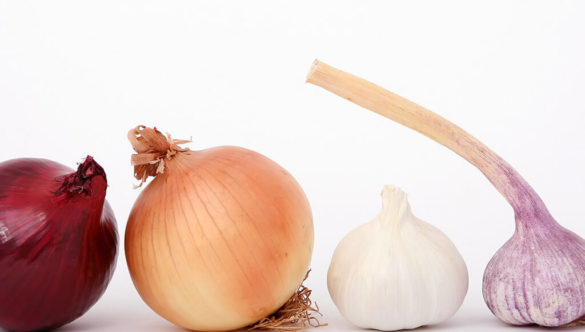 Garlic and Onions: Essential foods for your health