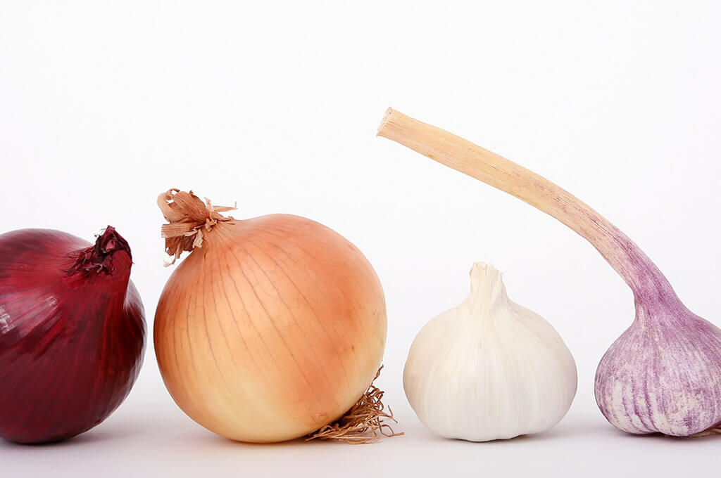 Garlic and Onions: Essential foods for your health